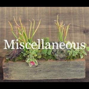 🌸🌼🌸🌼🌸🌼🌸🌼🌸🌼🌸